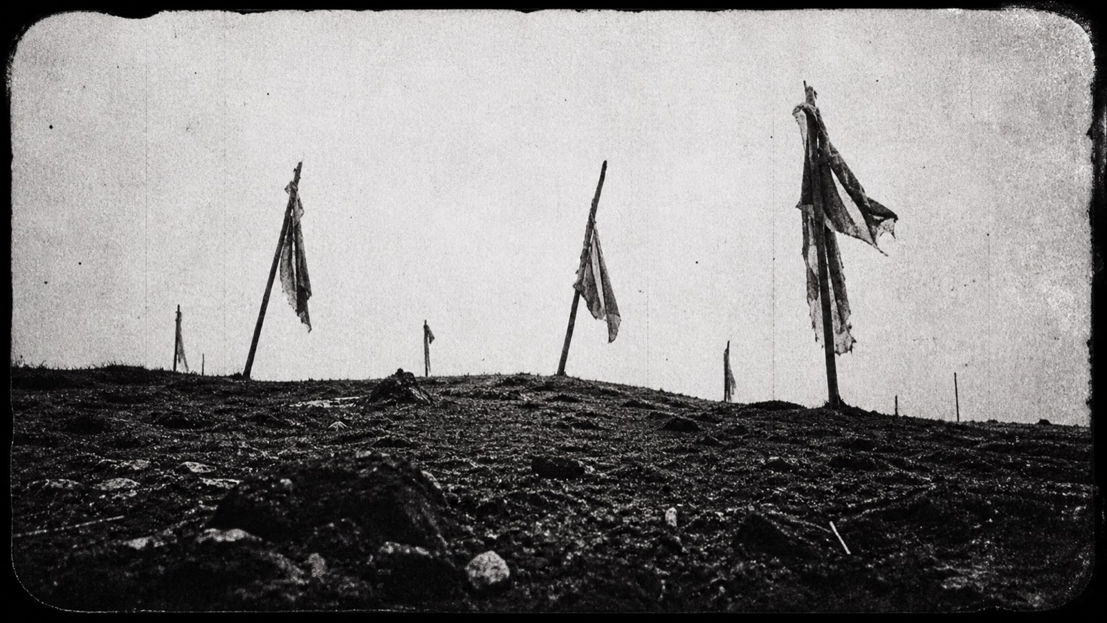 Campo árido en blanco y negro con telas rasgadas sobre estacas bajo un cielo duro.